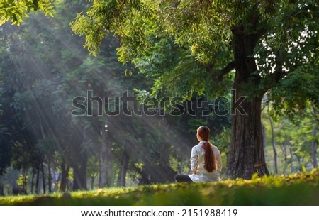 Back of woman relaxingly practicing meditation yoga in the forest to attain happiness from inner peace wisdom serenity with beam of sun light for healthy mind wellbeing and wellness soul concept