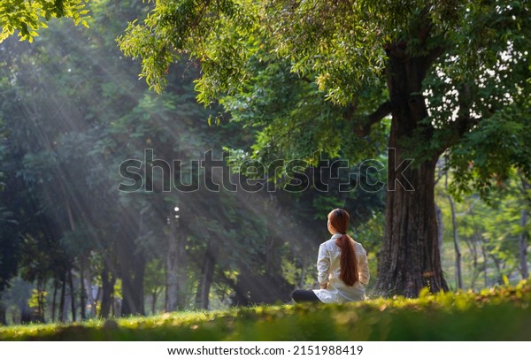 Back\
of woman relaxingly practicing meditation in the forest to attain\
happiness from inner peace wisdom serenity with beam of sun light\
for healthy mind wellbeing and wellness soul\
concept