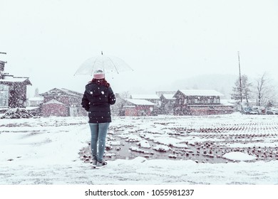 Back Of The Woman Standing And Holding Transparent Umbrella In The Winter And Snow Is Falling. With Background Of Ancient House At Shirakawa-go Village At Gifu, Japan And Copy Space For Text.