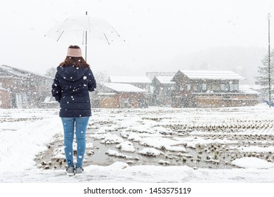 Back Of The Woman Standing And Holding Transparent Umbrella In The Winter And Snow Is Falling. With Background Of Ancient House At Shirakawa-go Village At Gifu, Japan. With Copy Space