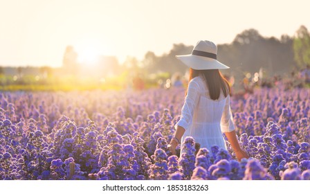 Back woman in white dress holding white hat enjoying summer in Purple Cutter Flowers field at sunlight in flowers village, udon thani province in thailand.