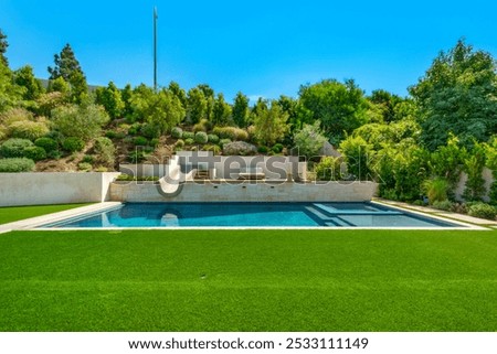 Back yard pool with slide