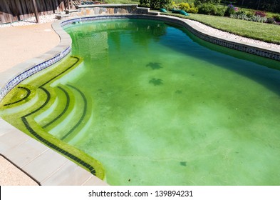 Back Yard Swimming Pool Behind Modern Single Family Home At Pool Opening With Green Stagnant Algae Filled Water Before Cleaning