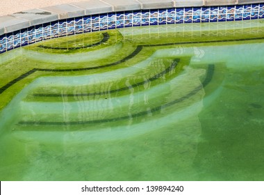 Back Yard Swimming Pool Behind Modern Single Family Home At Pool Opening With Green Stagnant Algae Filled Water Before Cleaning