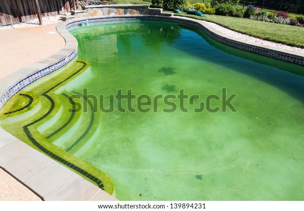 Green swimming pool before cleaning at the start of the season