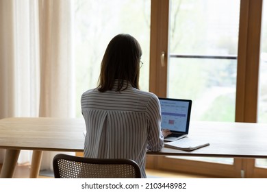Back of young business woman working at home office workplace table, checking schedule, workday tasks on planner service on laptop screen. Female employee, student girl using online calendar app