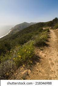 Backbone Trail Along Pacific Coast Highway, California