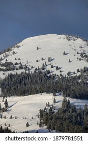 Backcountry Ski Tracks On Galena Summit Near Sun Valley, Idaho