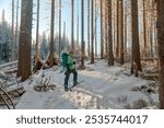 A backcountry skier navigates through a cathedral of snow-dusted pines, where sunbeams paint golden paths on white powder.