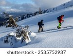 A backcountry skier navigates through a cathedral of snow-dusted pines, where sunbeams paint golden paths on white powder.