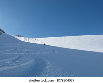 Backcountry skiers carving tracks from sun to shade with blue sky background, Purcell Mountains, British Columbia.