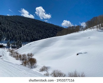 Backcountry Skiing At Vail, Colorado Back Bowls At Beautiful Sunny Day