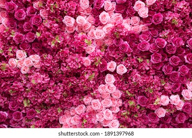 Backdrop of red and pink roses,Flowers wall background,Wedding decoration