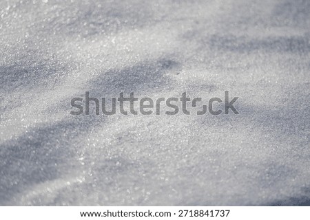 Backdrop with snow texture. Winter surface with snow texture. Cold snowy ground texture. White frozen field under winter sun.