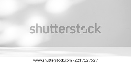Backdrop Studio Background Shadow White Light Podium Floor Plant Product Wall Pattern Abstract Kitchen Shadow Leaf Table Product 3d Bg Minimal Mockup Platform Kitchen Loft Grey Empty Podium Scene.