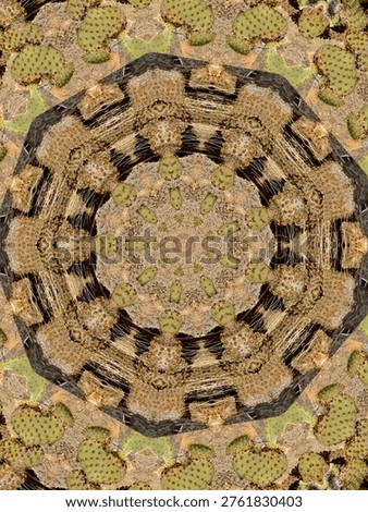 background abstract of a cactus