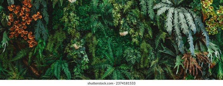 A background with an abstract design and a close-up texture of green leaves., tropical leaf and Nature concept.