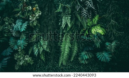 A background with an abstract design and a close-up texture of green leaves.