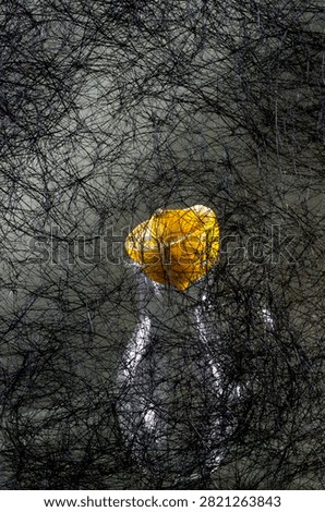 Background of abstract interwoven plastic thread against a backdrop of various objects