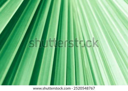 Background of abstract pattern made of folded paper. Paper texture in light, emerald green color. Backdrop of palm leaf which can be used for product display, flyer, business presentation.