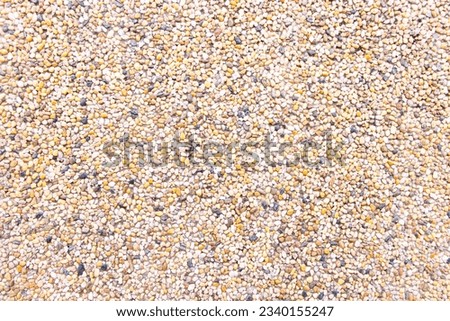 Background abstract or texture of pebbles small or gravel color yellow, orange attached with beautiful cement concrete. Natural pattern used to make wallpaper website along walls of houses, building.