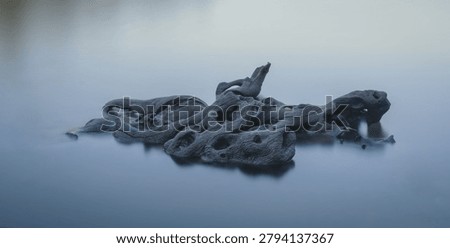 Background abstraction of a natural tree trunk half submerged in a reservoir near Portomarin Lugo Galicia
