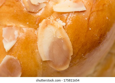 background bagel. macro