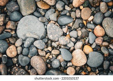 Background: Beach Stones At Low Tide - Color Landscape Format