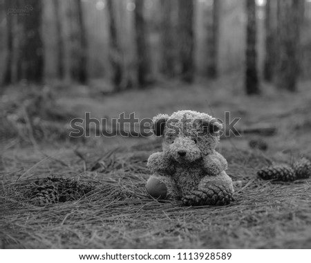 background bear forest backandwhite