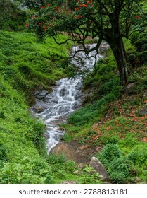 background, beautiful, cascade, environment, fall, flow, flowing, fog, foggy, forest, gangtok, green, landscape, leaf, mist, misty, moss, motion, mountain, natural, nature, outdoor, park, river, 