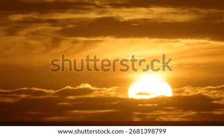 background, beautiful, cloud, landscape, light, nature, orange, sky, summer, sun, sunlight, sunrise, sunset, view, adventure, air, airplane, blue, city skyline, cloudscape, color, country, earth, eart