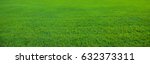 Background of beautiful green grass pattern 
