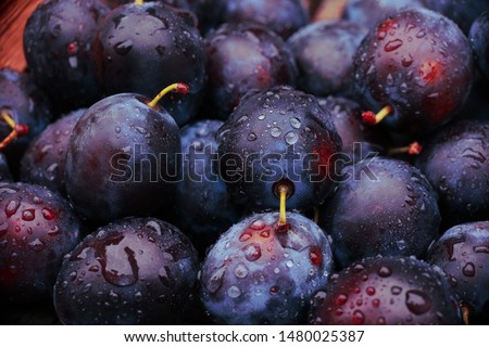 background of beautiful home plums