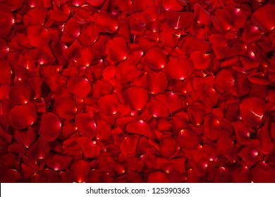 Background of  beautiful red rose petals - Shutterstock ID 125390363
