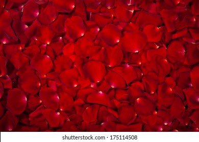 Background of  beautiful red rose petals