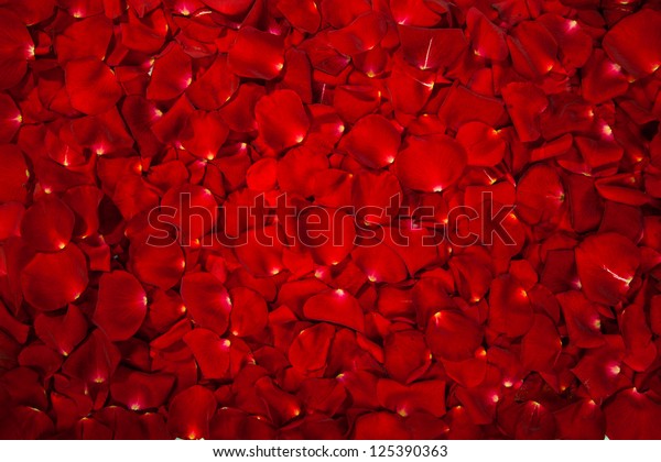 Background Beautiful Red Rose Petals Stock Photo (Edit Now) 125390363