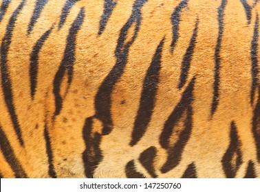 Ahnliche Bilder Stockfotos Und Vektorgrafiken Von Jaguar Leopard Fantasy Fabric Fur Texture Background 44730739 Shutterstock