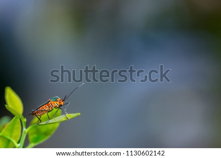 Similar – Image, Stock Photo time for togetherness