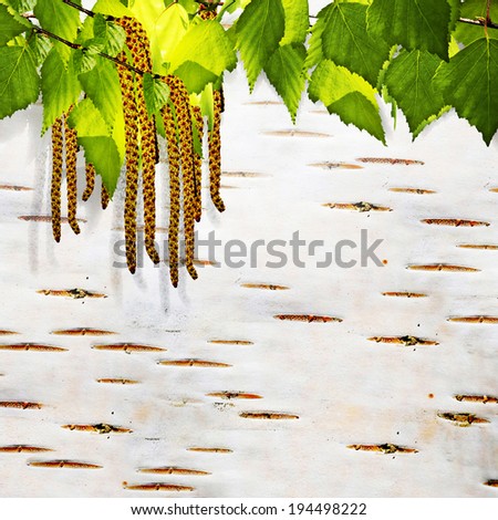 Similar – Foto Bild Sommer im Birkenwald in Finnland | Panorama