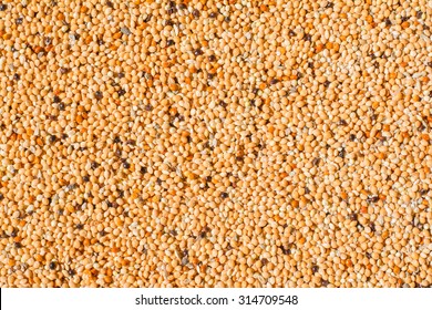 Background Of Bird Seed