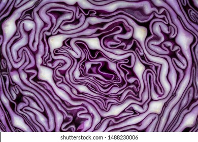 Background of the blue cabbage in the cut, macro photography. Close up, top view. Texture raw purple cabbage - Powered by Shutterstock