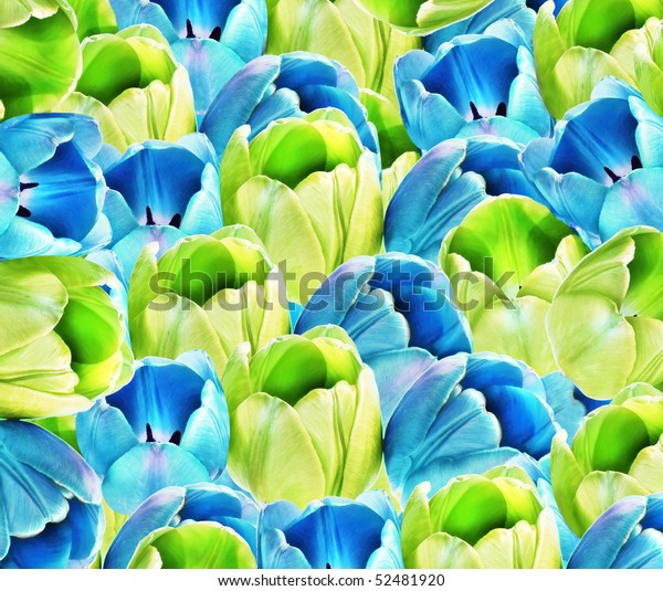 Background of blue and green tulips