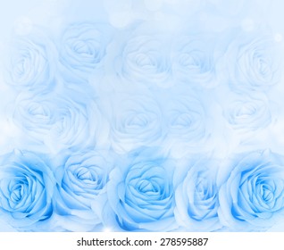 Background of blue roses.