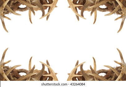 A Background / Border With Whitetail Deer Antlers Dressing The Corners