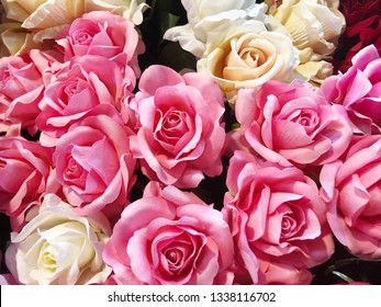 Pink Roses Background Images Stock Photos Vectors Shutterstock