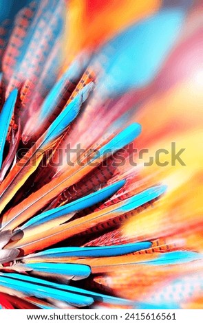 Background with bright multi-colored feathers in native american indian chief headdress. Horizontal or vertical eye-catching banner with colourful blue, orange and red feathers. Copy space for text