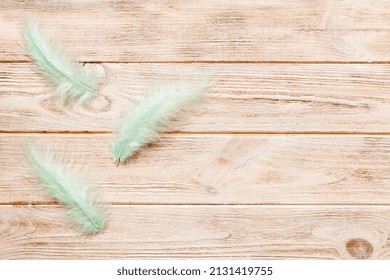 background of brightly colored dyed bird feathers on Colored background, top view. Copy space.