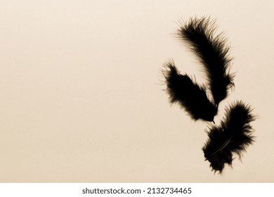 background of brightly colored dyed bird feathers on Colored background, top view. Copy space.