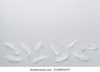 background of brightly colored dyed bird feathers on Colored background, top view. Copy space.