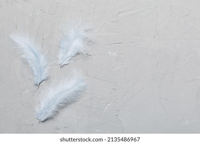 background of brightly colored dyed bird feathers on Colored background, top view. Copy space.